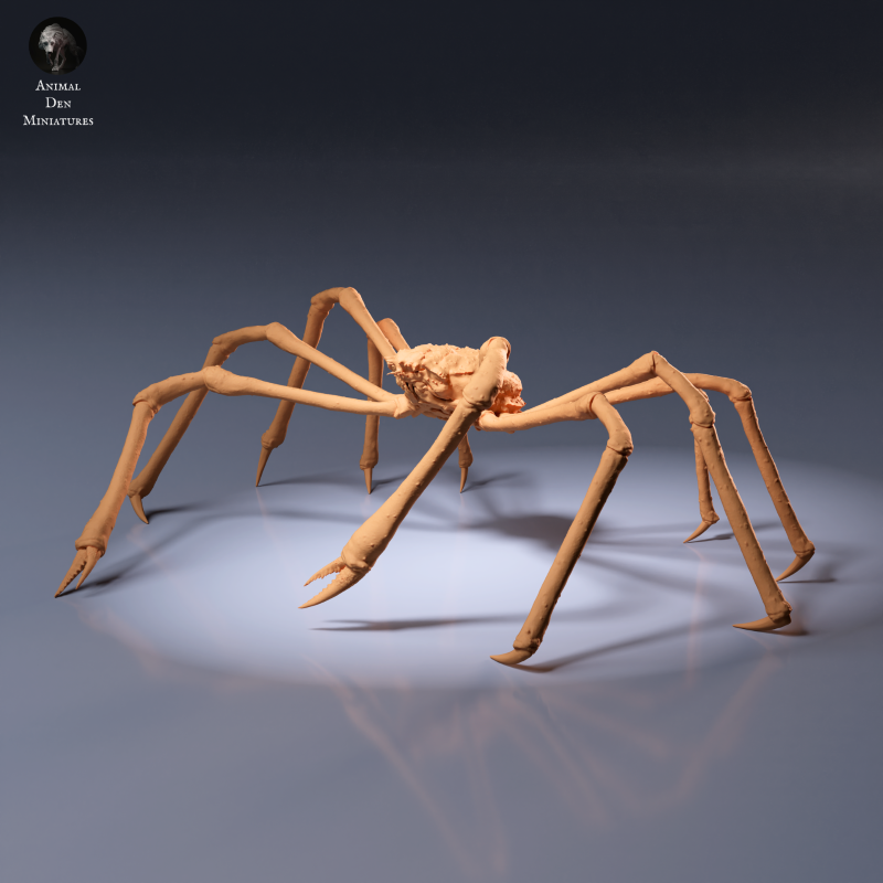 Japanese Giant Spider Crab 1:24