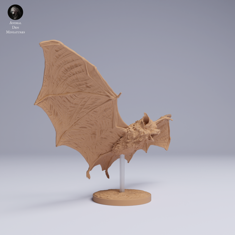 Kitti's Hog-Nosed Bat - Fly