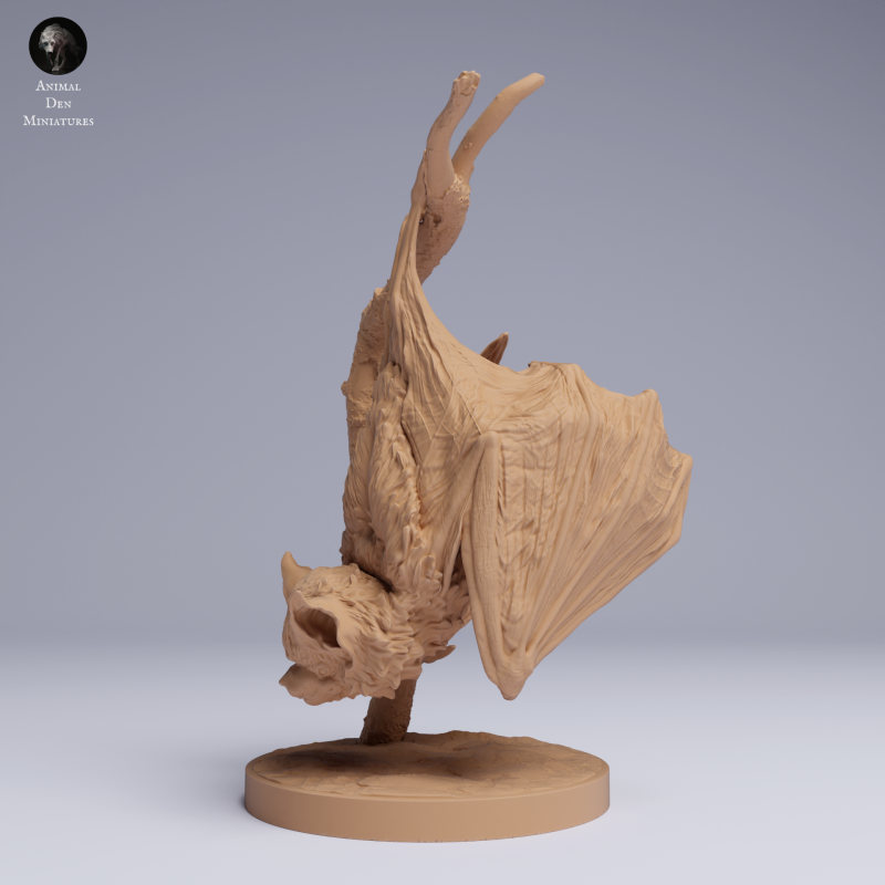 Kitti's Hog-Nosed Bat