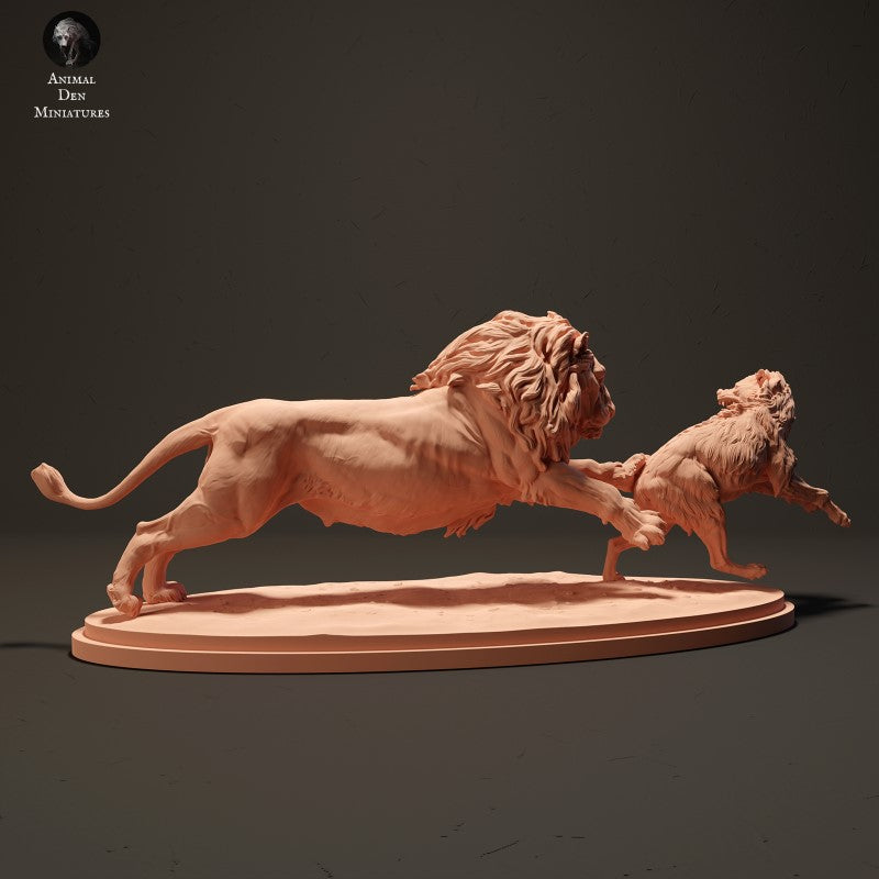 Lion Hunting Spotted Hyena