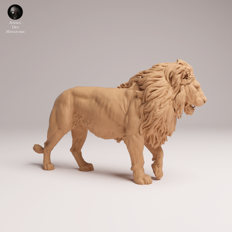Lion 1-24