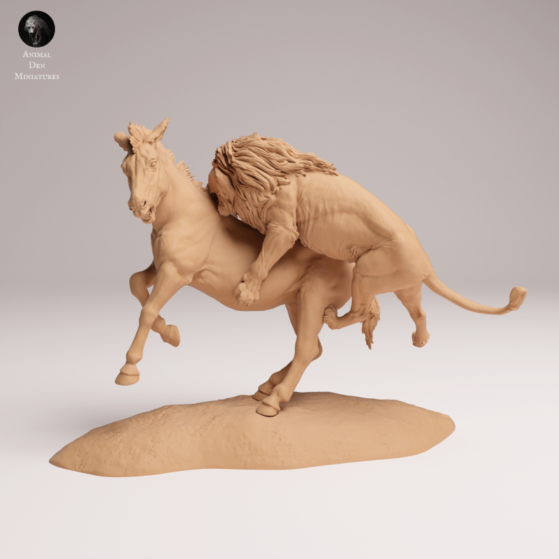 Lion Hunting Zebra 1-24
