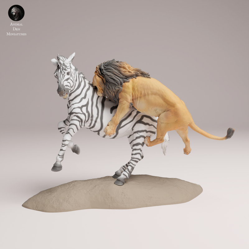 Lion Hunting Zebra 1-24