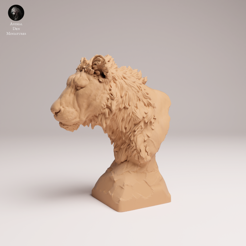 Lion Subadult - Bust - 1-8