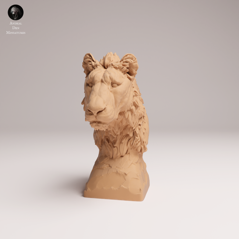 Lion Subadult - Bust - 1-8