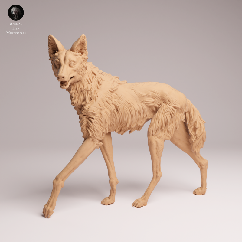 Maned Wolf 1:16