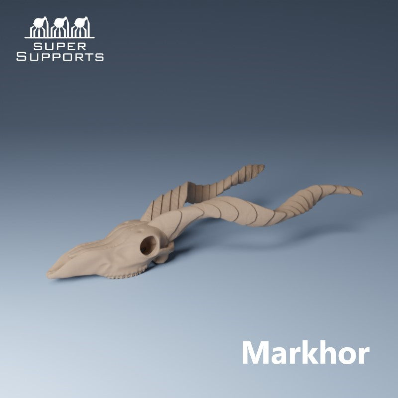 Animal Skulls - Group 1