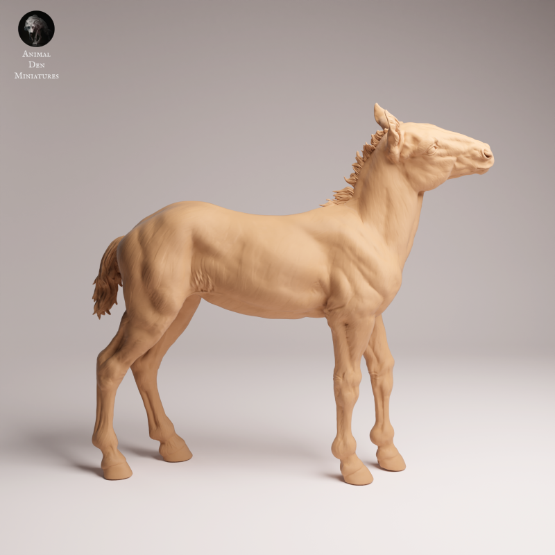 Mustang Calf 1-24
