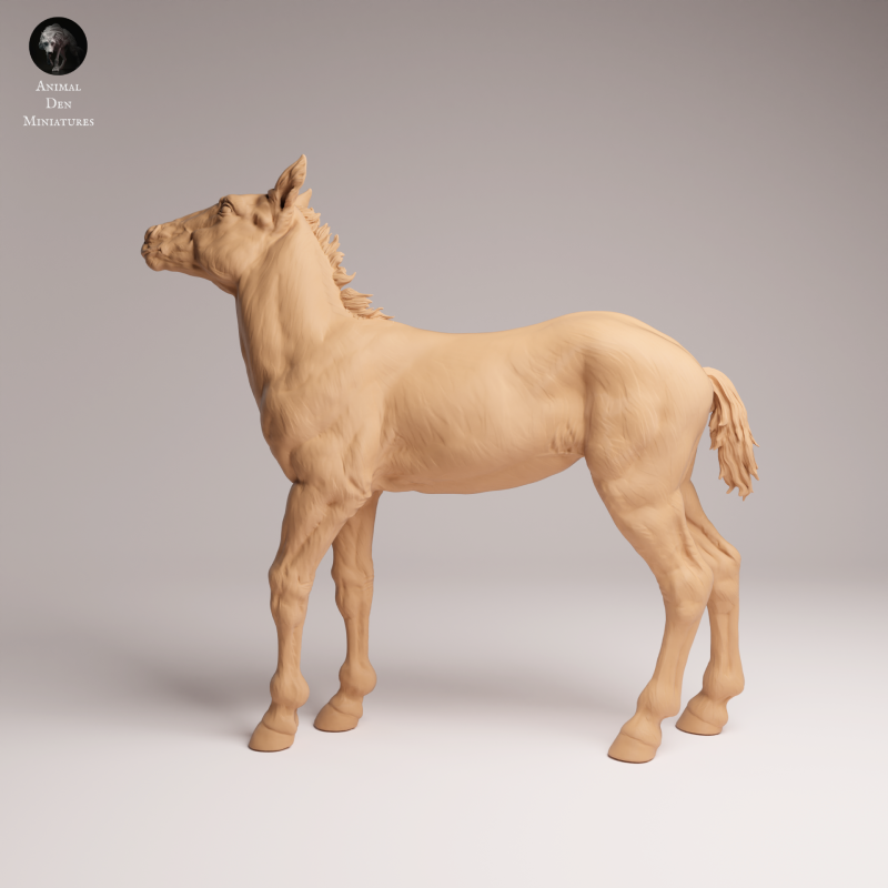 Mustang Calf 1-24