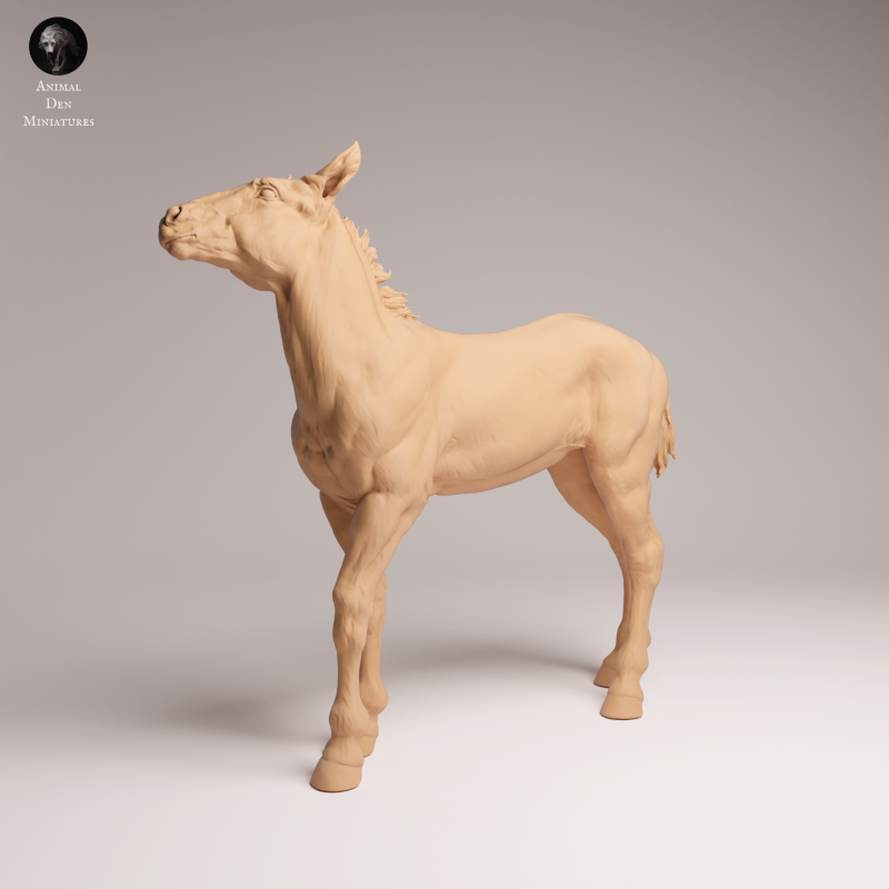 Mustang Calf 1-24