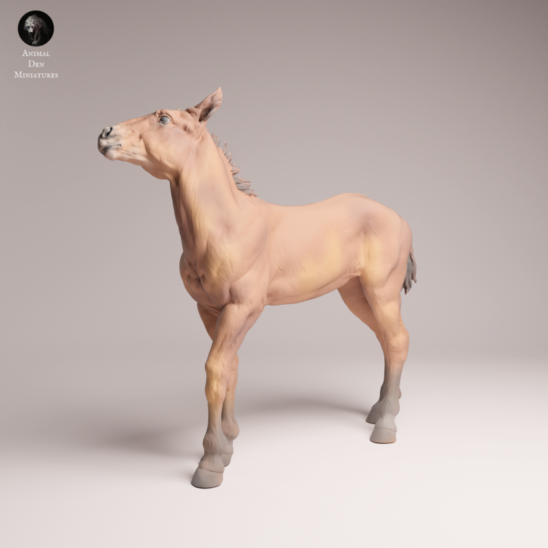 Mustang Calf 1-24
