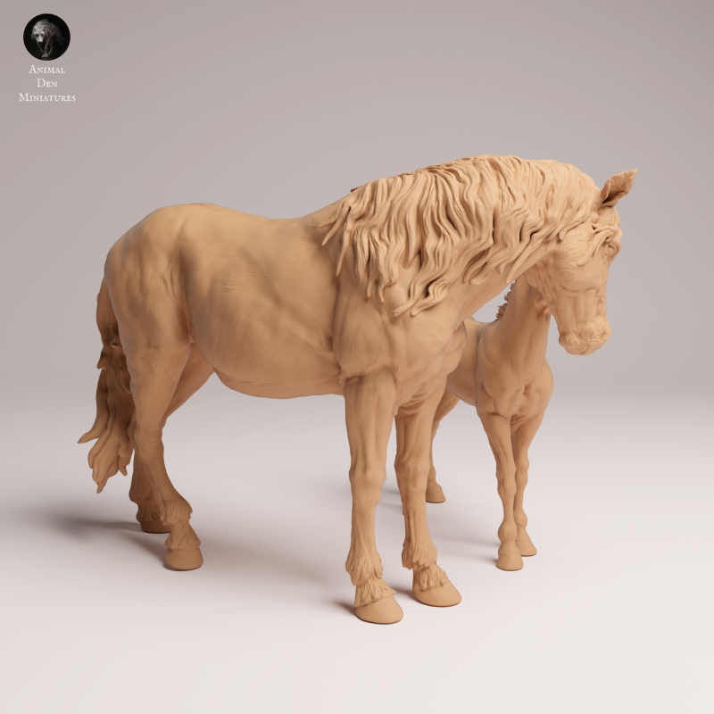 Mustang Female and Calf 1-24