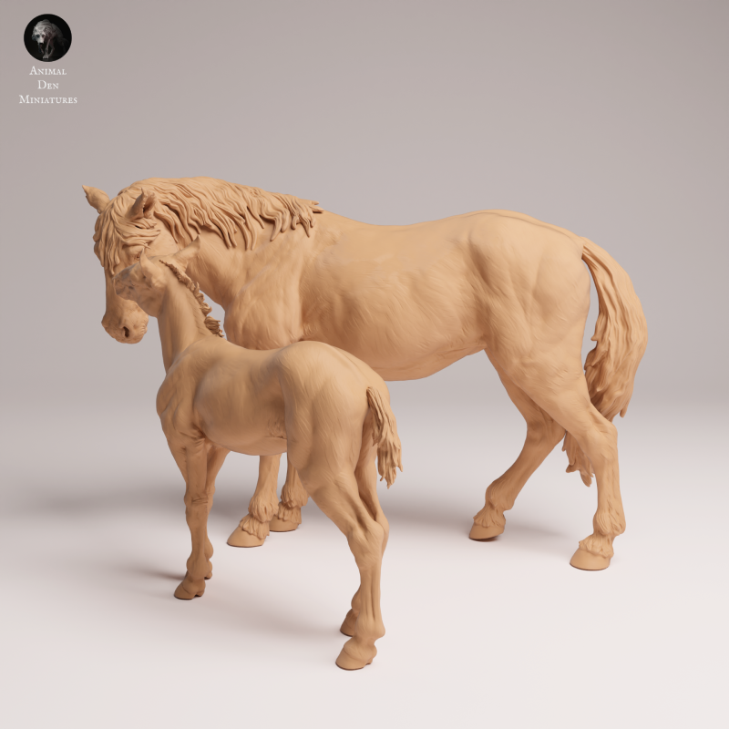 Mustang Female and Calf 1-24