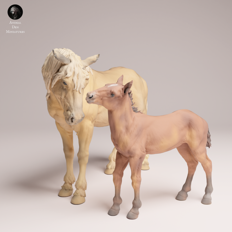 Mustang Female and Calf 1-24