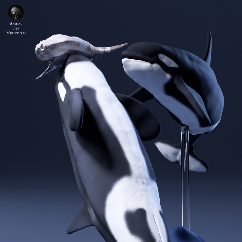 Ocean Sunfish and Orcas 1:76