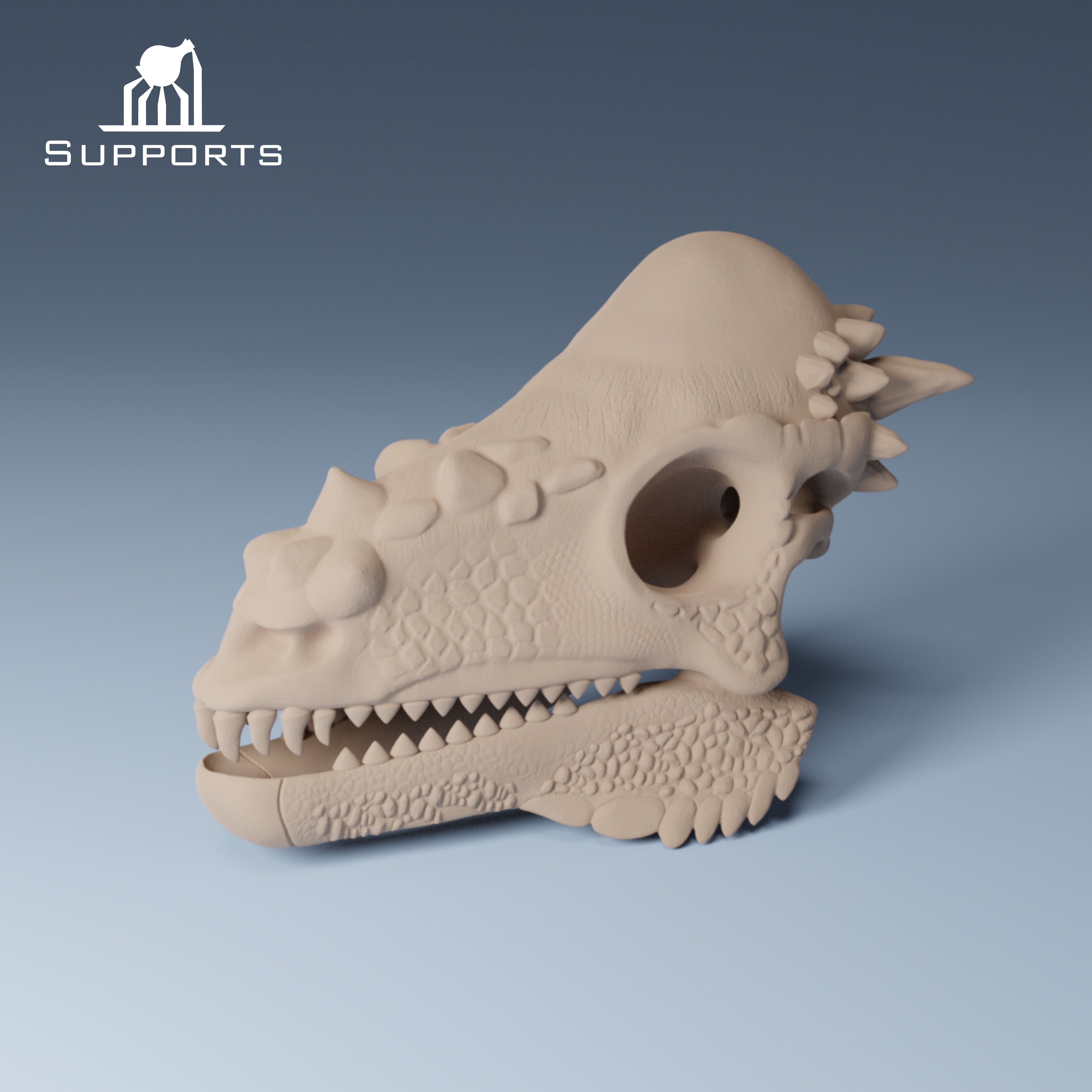 Dinosaur Skulls - Group 1