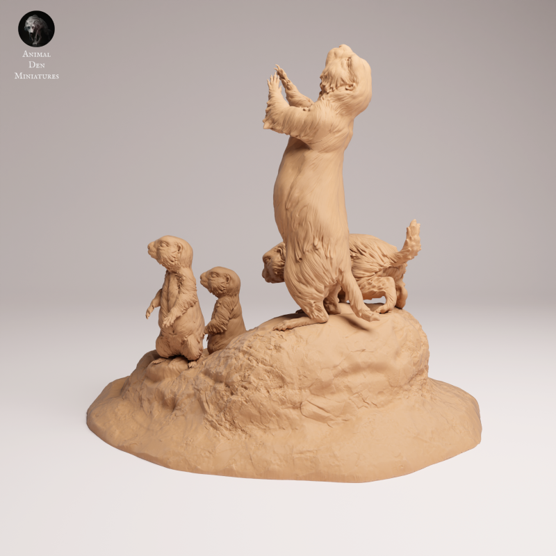 Prairie Dog 1-6