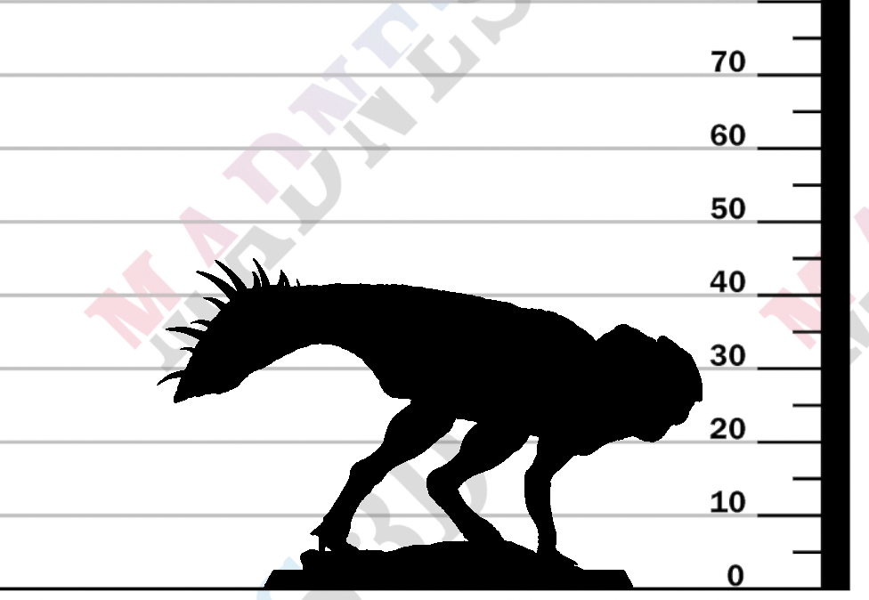 Protoceratops - Run