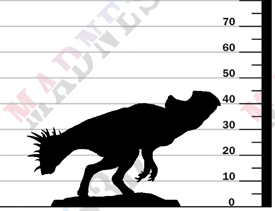 Protoceratops - Stand