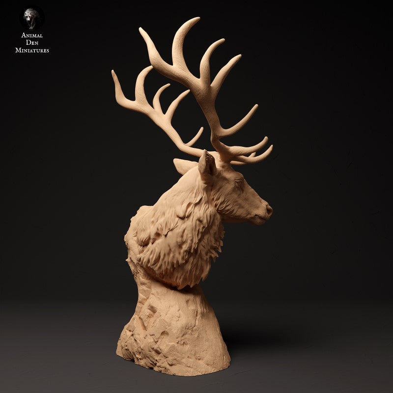 Red Deer - Bust