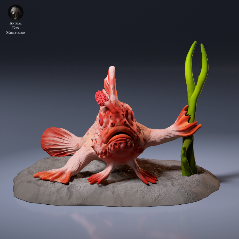 Red Handfish 1:1