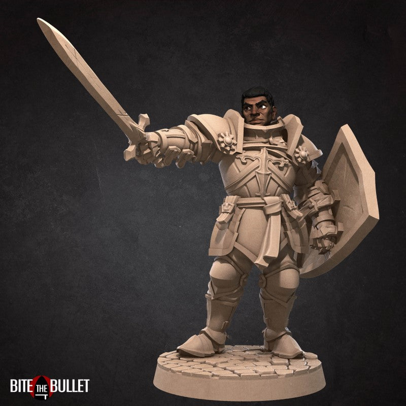 Miniature Hero Paladin by Bite the Bullet