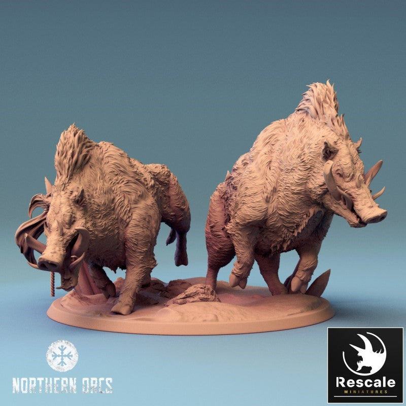 Orc Boar - Together