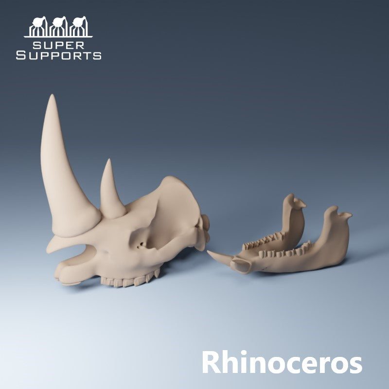 Animal Skulls - Group 1