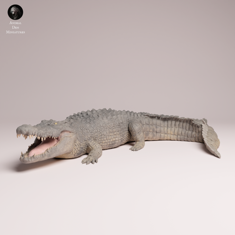 Saltwater Crocodile 1:32