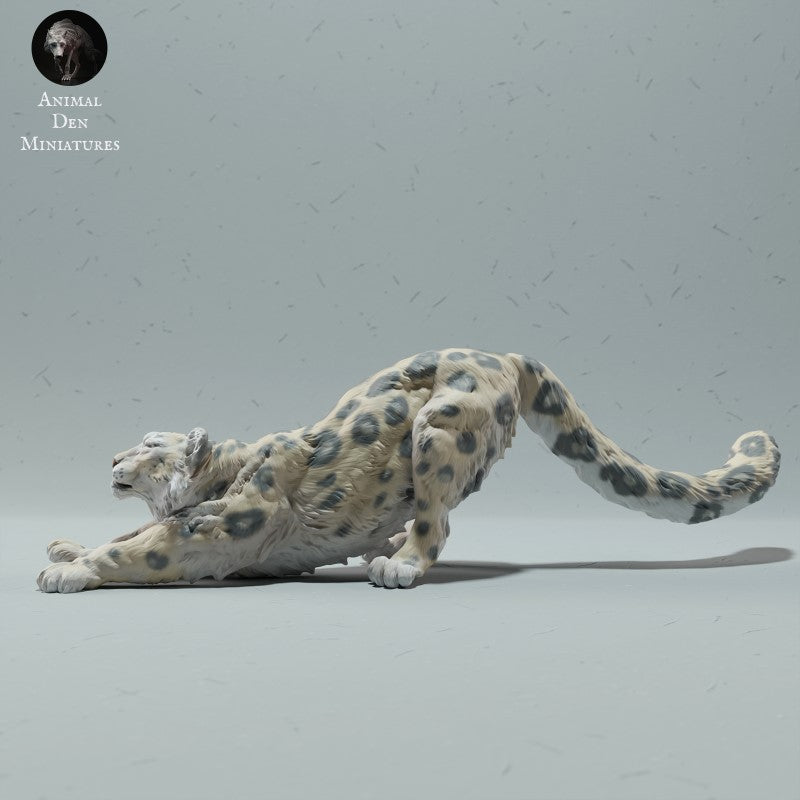 Snow Leopard