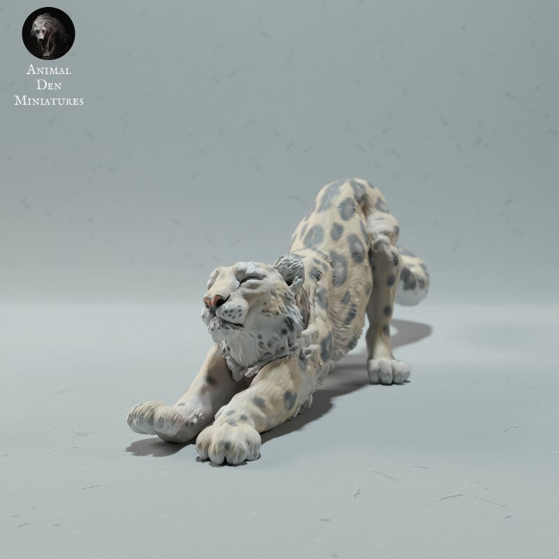 Snow Leopard