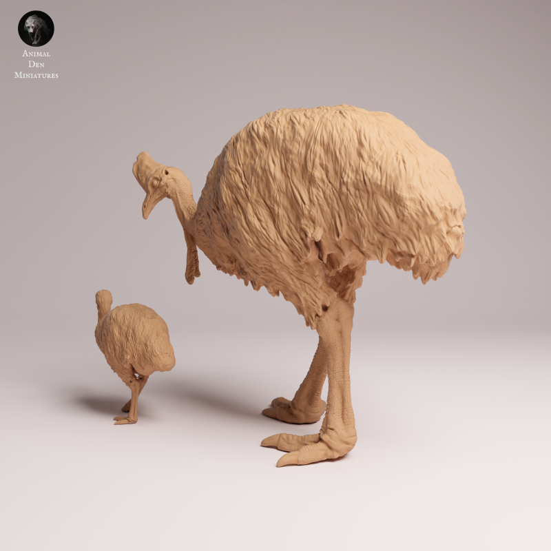 Southern Cassowary and Chick 1:24