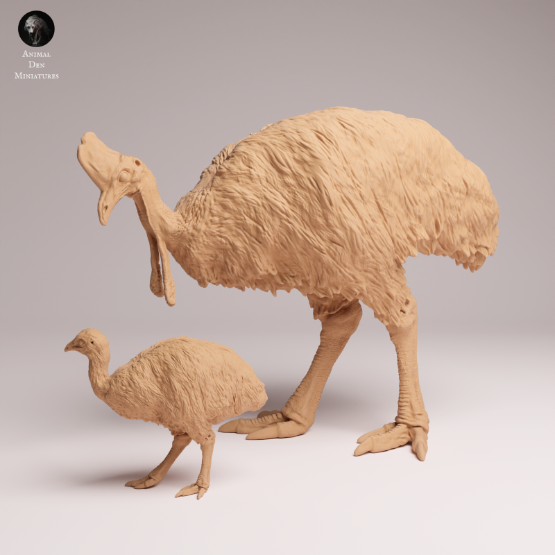 Southern Cassowary and Chick 1:24
