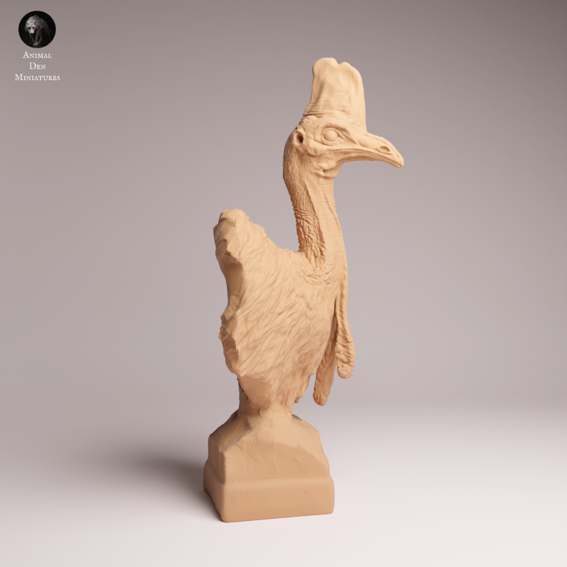 Southern Cassowary Bust 1:8