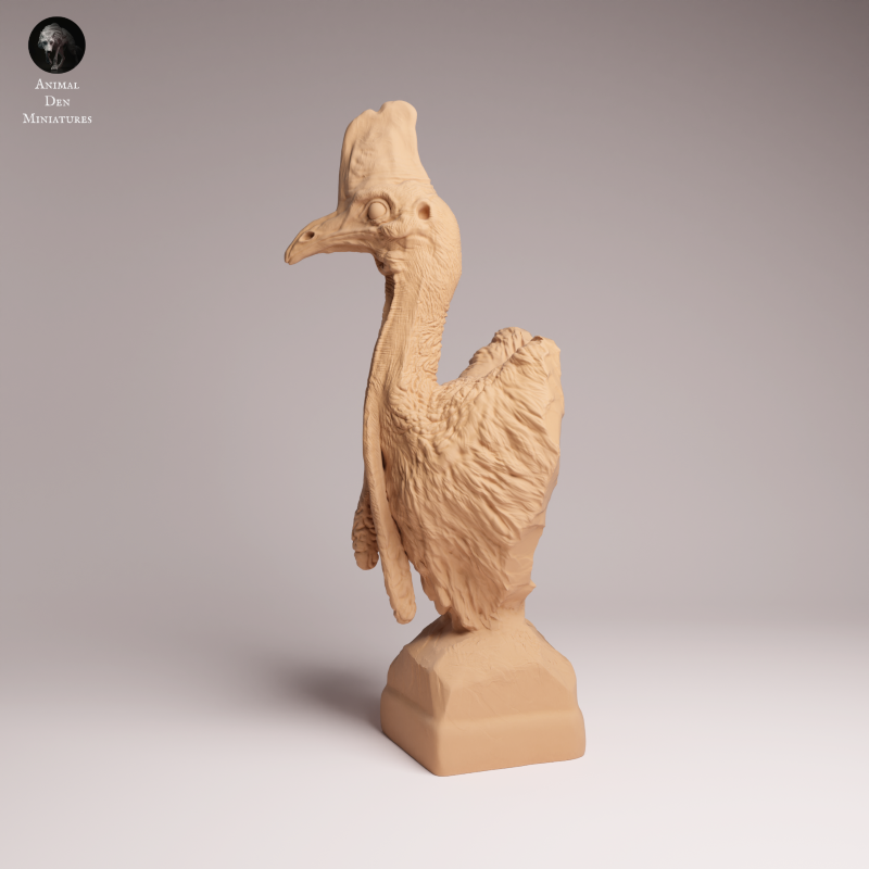Southern Cassowary Bust 1:8