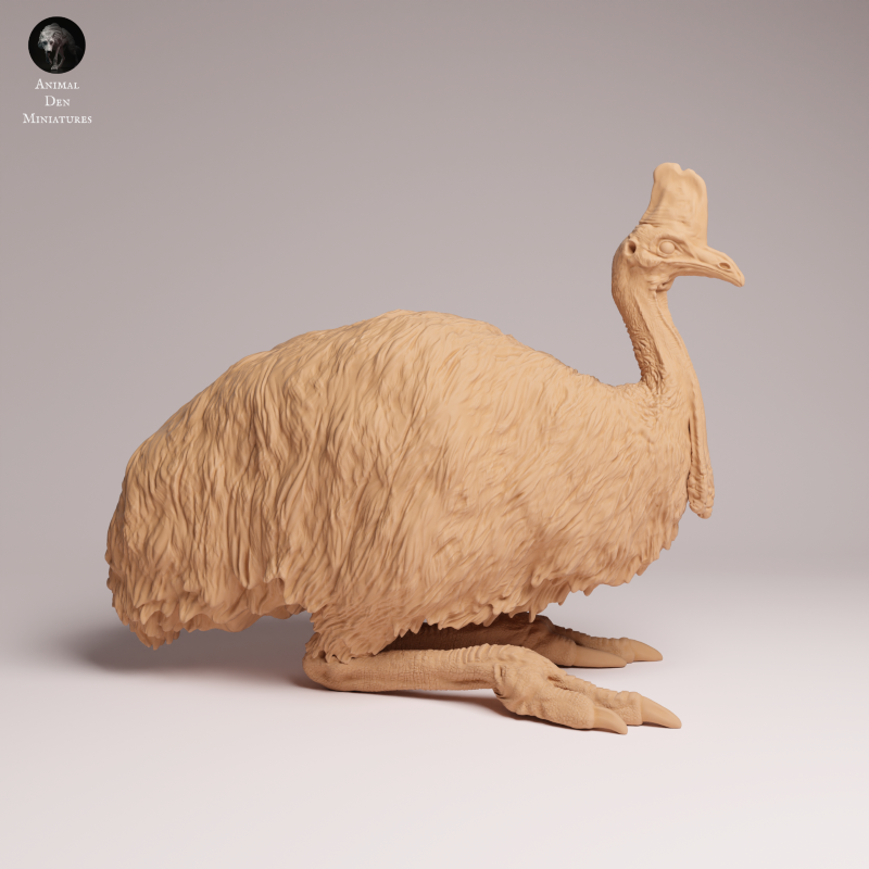 Southern Cassowary Lying 1:24