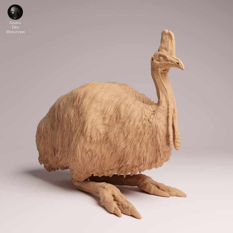 Southern Cassowary Lying 1:24