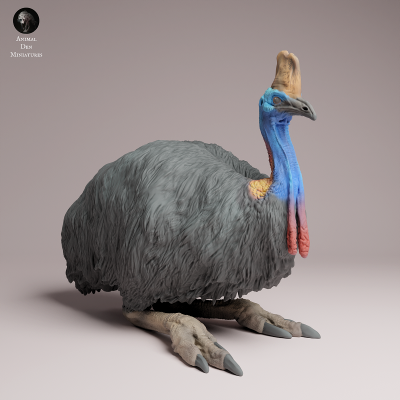 Southern Cassowary Lying 1:24