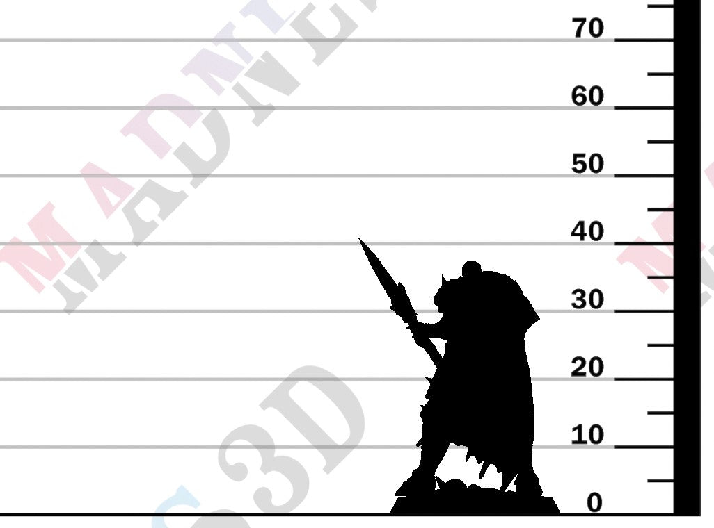 Raider - Spear block