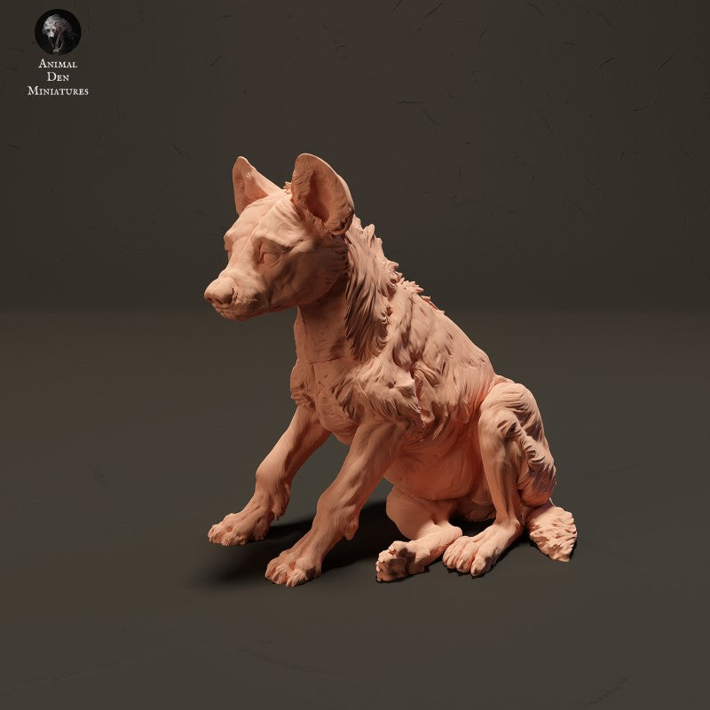 Spotted Hyena Pup