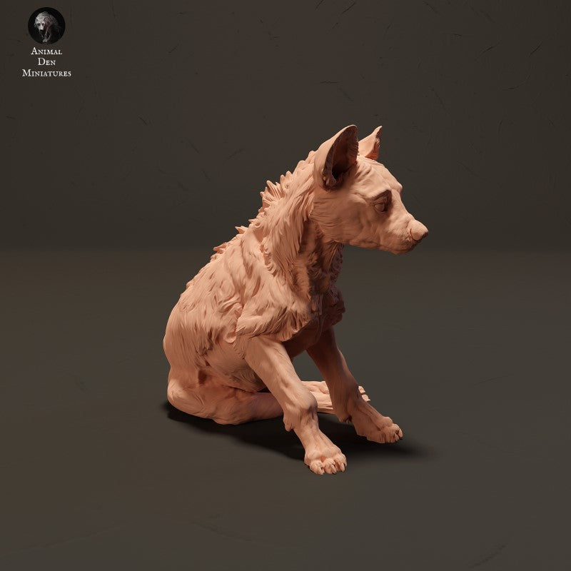 Spotted Hyena Pup