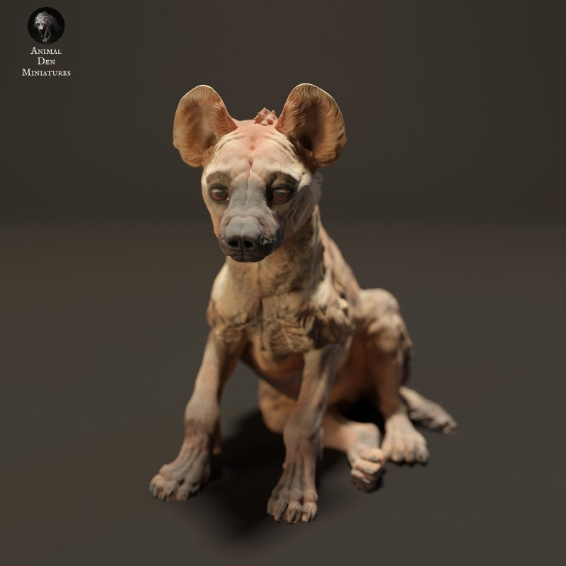 Spotted Hyena Pup