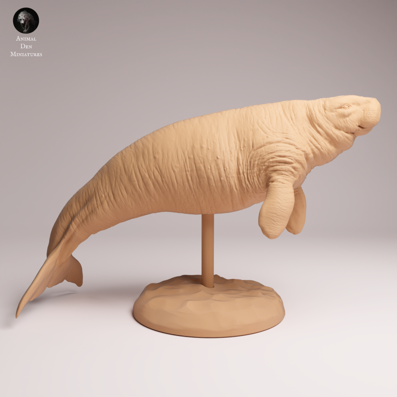 Stellar Sea Cow 1:100