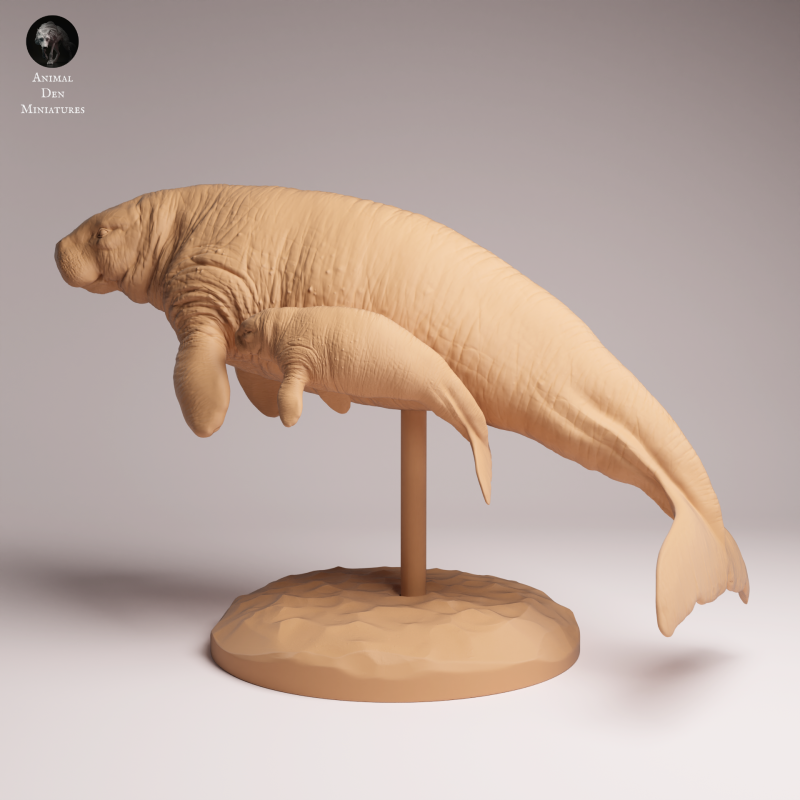 Stellar Sea Cow and Calf 1:100