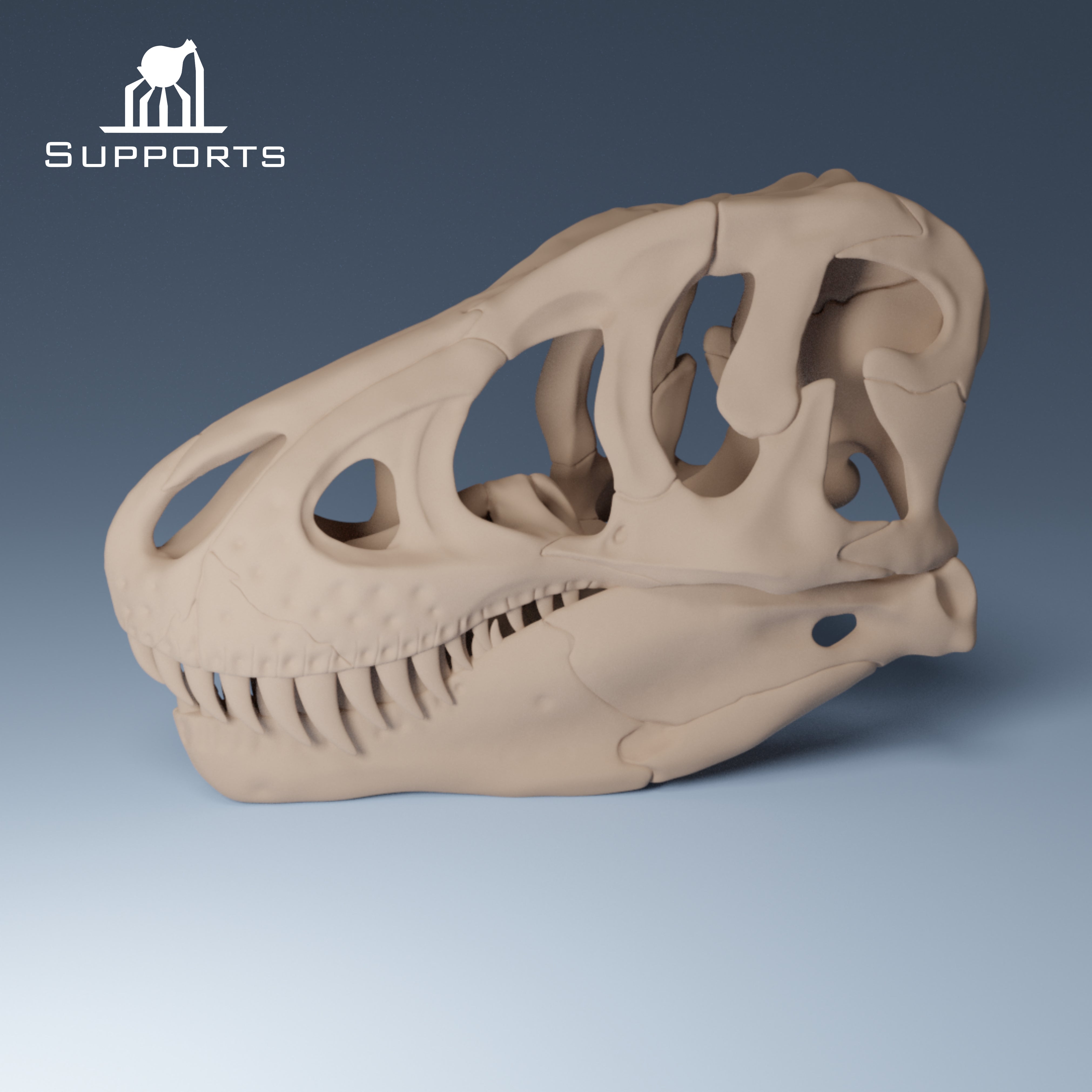 Dinosaur Skulls - Group 2