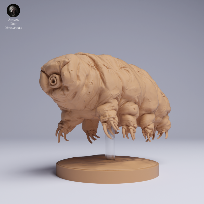 Tardigrade - Water Bear