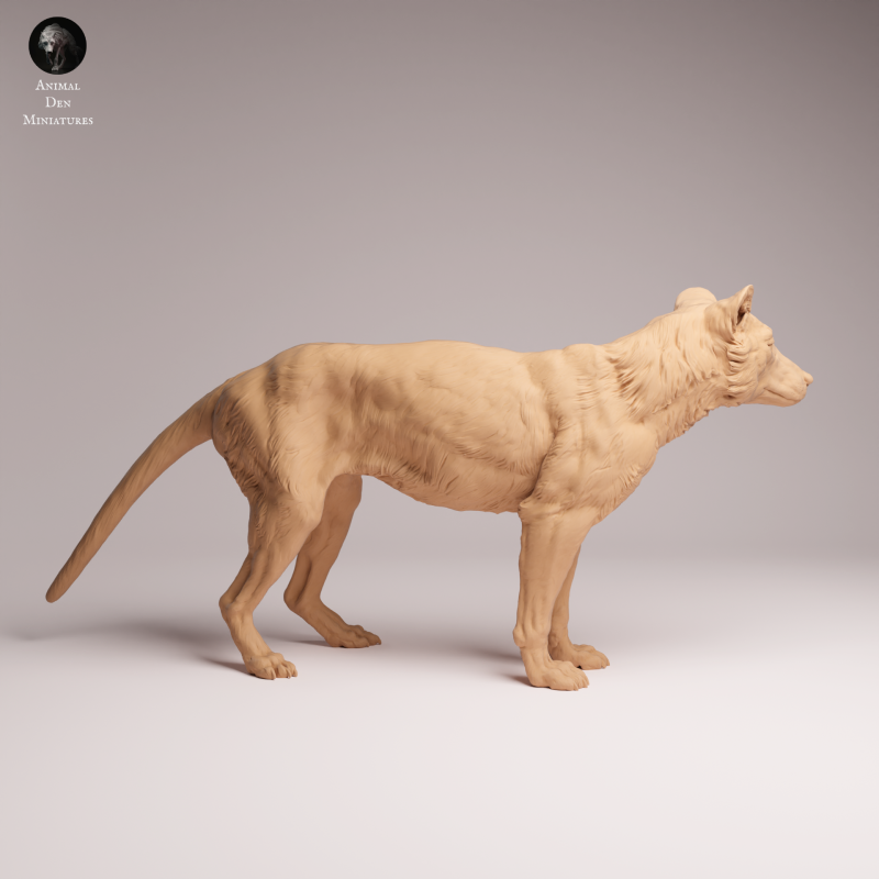 Thylacine 1:24