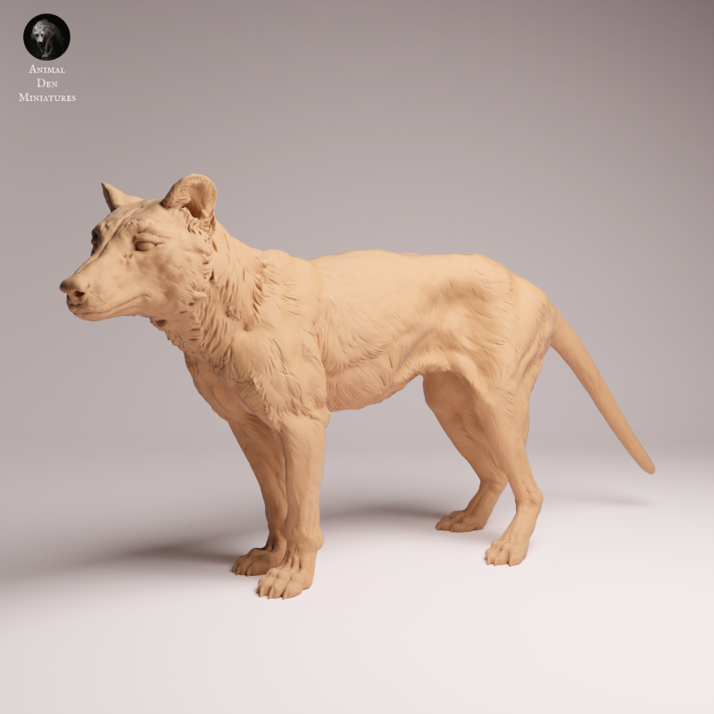 Thylacine 1:24