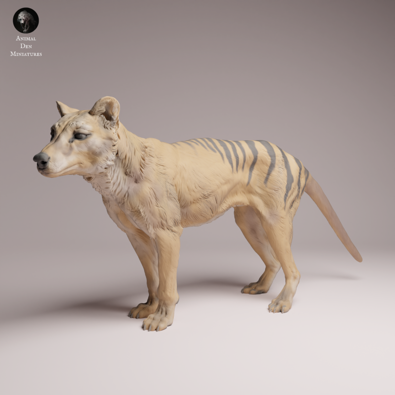Thylacine 1:24