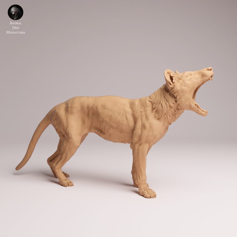 Thylacine - Yawn 1:24